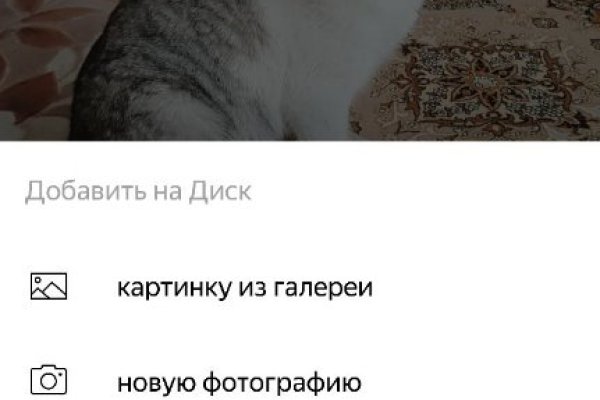 Kraken это современный маркетплейс